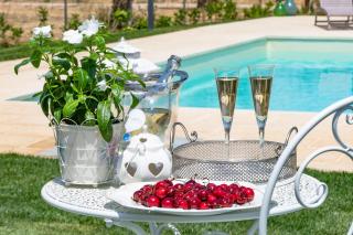 Puntuso Vacanze - 2
