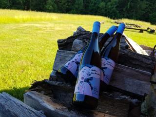 Modrokamenná bouda - 1