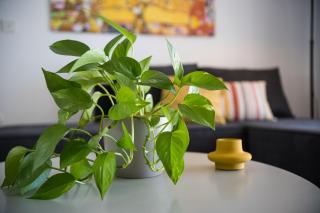 South Beach Villas - 1