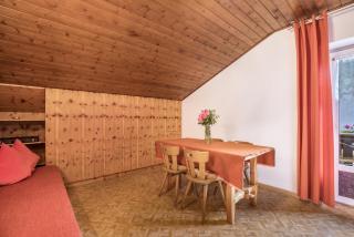 Apt Hofer Heidi - Niederdorf - 7