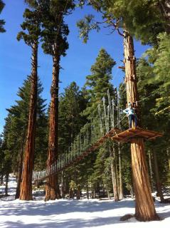 Granlibakken Tahoe - Tahoe City - 4