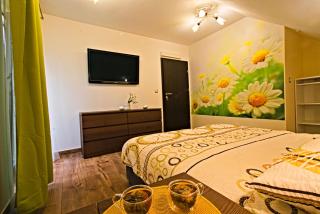 Daisy - Sunny Flowers Apartments - 1