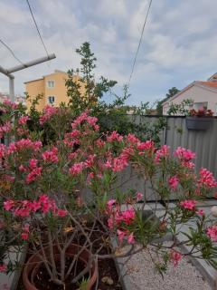 Kuća za odmor Emanuela - Vodice - 1