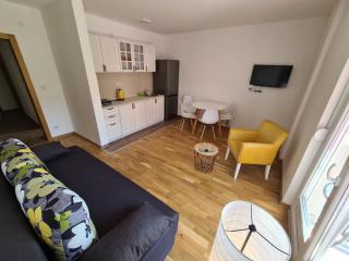 Apartman Jelena Sokobanja - 9