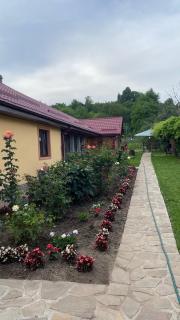 Casa de vacanta - Ograda cu flori - 4