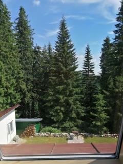 Cabana Rânca - 6