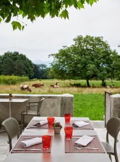 Auberge La Croix-Blanche - Gingins - 2