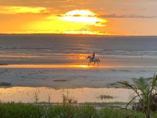 FlowMove Retreat Algodoal - 0