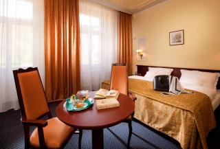 Hotel Excelsior - Marienbad - 9