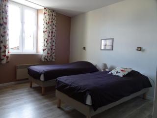 Gîte authentique avec terrasse, jardin, proche thermes et nature - FR-1-589-212 - - 3