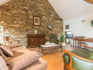 Maison de charme avec piscine et grand jardin, près d'Ancenis - idéal pour familles et balades - FR-1-306-1151 - Bonnoeuvre - 8