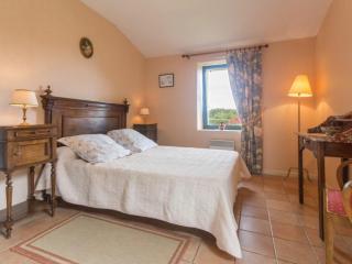 Maison de charme avec piscine et grand jardin, près d'Ancenis - idéal pour familles et balades - FR-1-306-1151 - Bonnoeuvre - 6