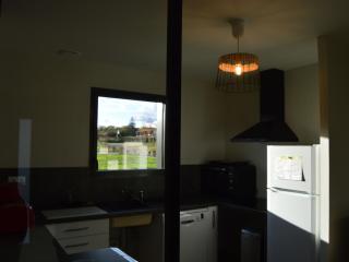 Maison éco-responsable avec terrasse, jardin privé et aménagement fauteuil roulant à Pouligny-Saint-Martin - FR-1-591-224 - Pouligny-Saint-Martin - 1