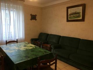 Gîte spacieux au calme avec jardin, ping-pong, proche de Nancy/Lunéville, idéal famille et pro - FR-1-584-37 - - 4