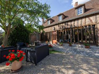 Gîte de charme avec cour et jardin, proche château, cheminée, ping-pong, draps inclus - FR-1-590-2 - Bellegarde-du-Loiret - 0
