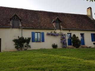 Gîte Confortable au Cœur du Vignoble de Sancerre avec Internet et Proche de la Loire à Vélo - FR-1-586-3 - Sury-en-Vaux - 2