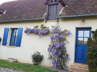Gîte Confortable au Cœur du Vignoble de Sancerre avec Internet et Proche de la Loire à Vélo - FR-1-586-3 - Sury-en-Vaux - 1