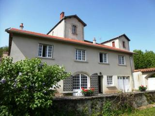Maison calme avec grand terrain, proche commodités et sites médiévaux - FR-1-582-133 - Allègre - 0