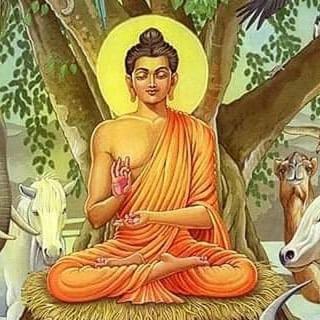 Chambre d'hôte Zen chez Philippe Parking free - 4