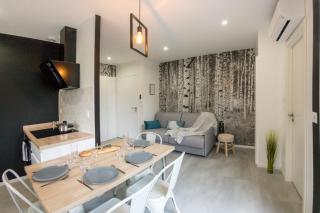 APPART-HOTEL n 4 calme avec terrasse, Wi-fi haut débit, petit-déjeuner, room-service et parking privé - Chouzelot - 0