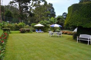 Royal Cocoon - Nuwara Eliya - 1