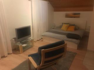 Studio Central Grindelwald - Grindelwald - 6