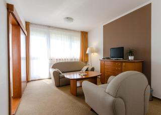 Hotel Vega Luhacovice - Luhačovice - 9