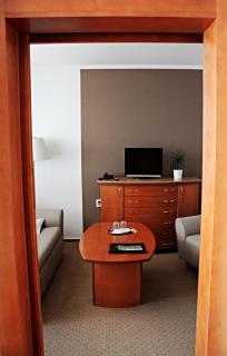 Hotel Vega Luhacovice - Luhačovice - 7