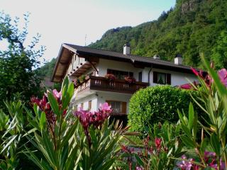 Schiedhof - Castelrotto - 0