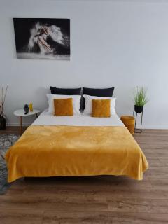 Apartament Luca P4B Oradea Prima Residence - Oradea - 1