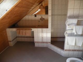 Hotel Lesní dům - 3