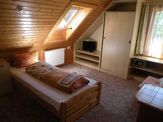 Hotel Lesní dům - Janské Lázně - 1