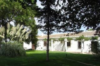 Casa El Carmen - Ciudad Real - 7