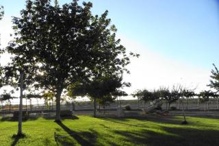 Casa El Carmen - Ciudad Real - 2