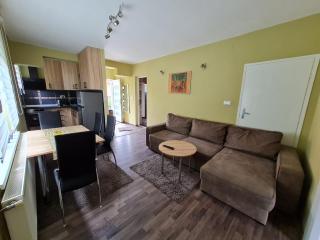 Apartman Boskovic - Soko Banja - 1