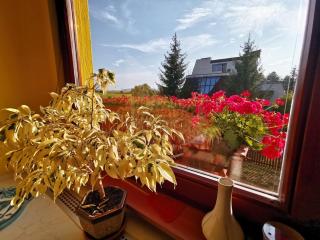 Apartmán Adrianka - Turčianske Teplice - 3