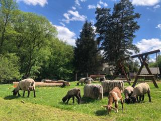 Kameňácká myslivna - Moravany - 9