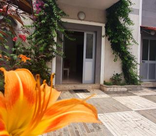 A Cheerful villa with free parking space - Tirana - 2