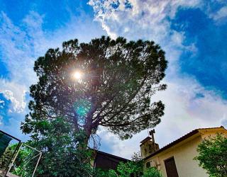 Apartment with terrace - Gaia - Opatija - Center - Opatija - 9