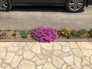 Lux Hus Novi Sad - Veternik - 6