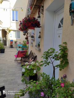 Les Coquelicots - Montrouge - 0