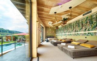 Hotel Erasmus - Mein Genuss- und Wellnesshotel - Trassem - 1