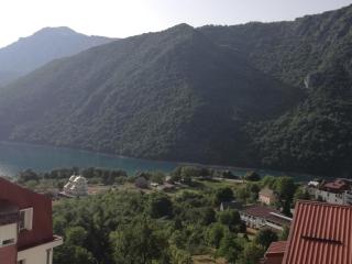 Apartman DUNJA - Plužine - 8
