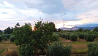 B&B Villa Sabrina - Sonnino - 3