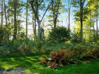 4 person holiday home in BRAÅS-By Traum - 5