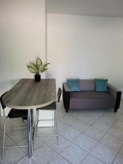 charmant studio de 30 m2 très calme avec sa grande belle terrasse et son jardin PRIVATIF - Tremblay-En-France - 6