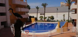 RESIDENCIAL LAS PALMERAS - Roquetas de Mar - 9