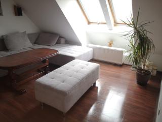 Apartamenty LENA 16 TWOJE poddasze - 8