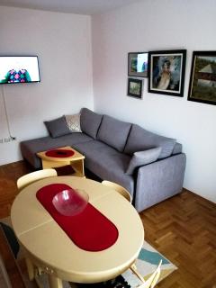 SRNA APARTMAN - Vrnjačka Banja - 1