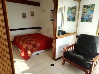 DEPARTAMENTO BARILOCHE centro - Bariloche - 1